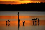 IMG_6761.jpg
