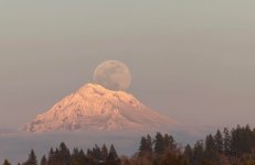 moon.jpg
