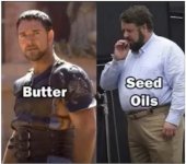 seed oil 1.jpg