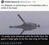 Excalligator.jpg