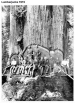 lumberjacks.jpg