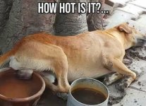 Way Hot.jpg
