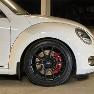 Roylance1